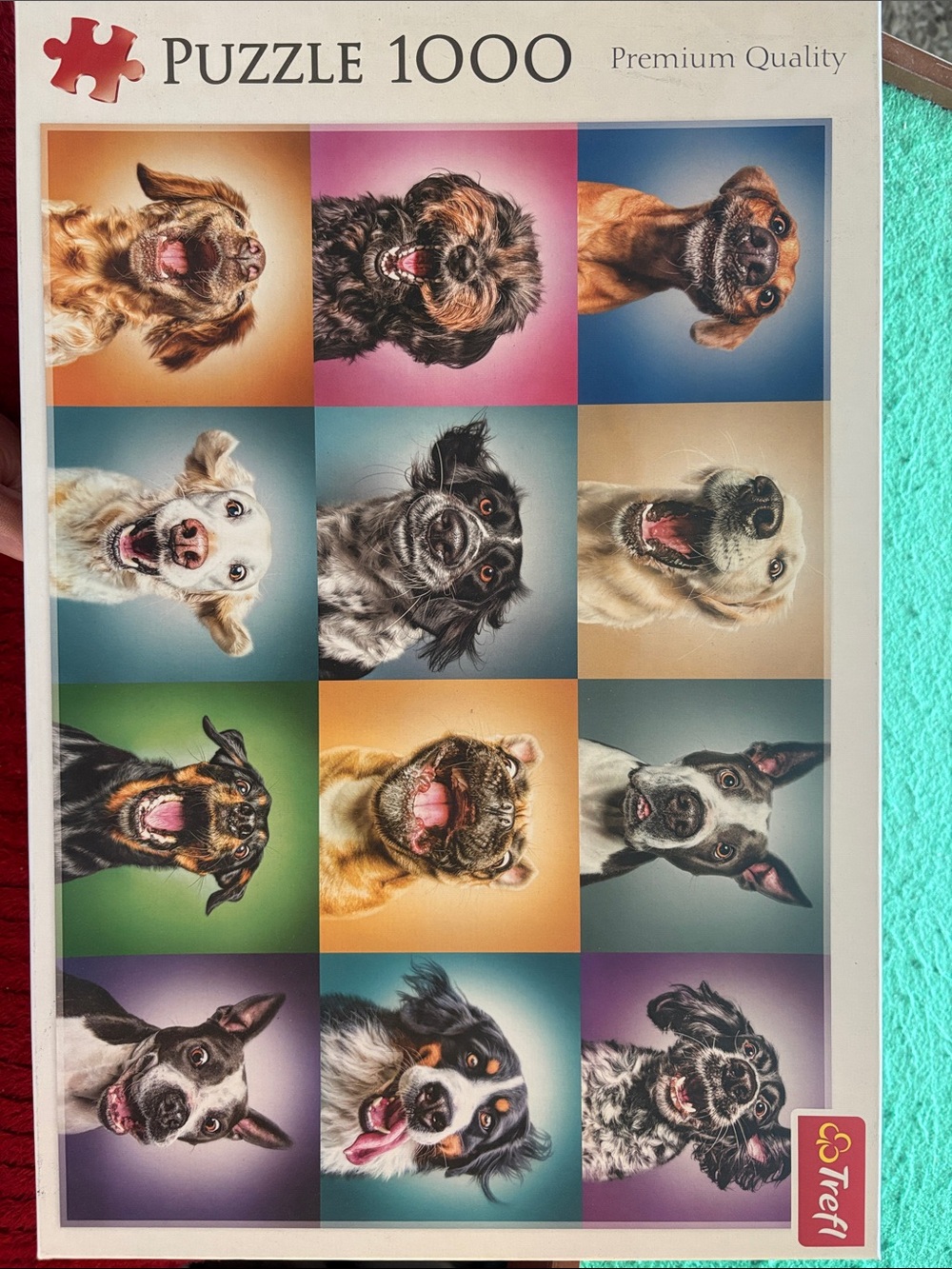 Colorful Dogs 1000-Piece Jigsaw Puzzle - Multicolor Panels